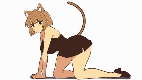 1girls 2d 2d_animation :3 :o animal_ears animated ass black_dress black_shoes brown_ears brown_hair brown_tail cat_ears cat_girl cat_tail catgirl color colored female female_focus female_only four_ears??? gif hourglass_figure large_ass looking_at_viewer mayu_naisu meow meowing nya oc on_all_fours on_hands on_hands_and_knees on_knees original original_character