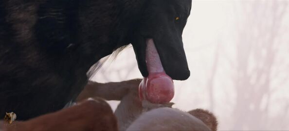 3d_(artwork) 3d_animation 69_position animal_genitalia animal_penis animated balls body_part_in_mouth canid canine canine_genitalia canine_penis canis deep_throat digital_media_(artwork) domestic_dog duo erection fellatio feral feral_on_feral feral_penetrated feral_penetrating feral_penetrating_feral genitals knot knotted_penis male male/male male_penetrated male_penetrating male_penetrating_male mammal mutual_oral oral oral_only oral_penetration penetration penile penile_penetration penis penis_in_mouth sex sheath shiba_inu short_playtime sound spitz tagme trioami260 video wolf