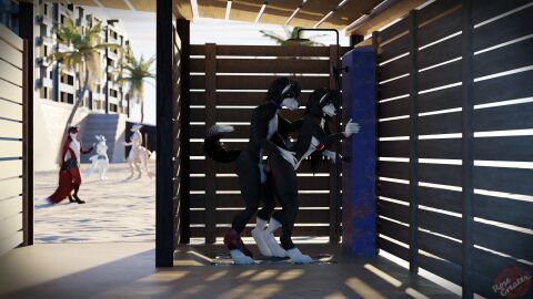 16:9 3d 4k absurd_res anthro balls beach biped blender_(artwork) border_collie bottomwear bottomwear_around_one_leg bottomwear_down bra breasts brother_(lore) brother_and_sister_(lore) canid canine canis clothed clothing clothing_around_one_leg collie detailed_background digital_media_(artwork) domestic_dog duo female fish fox fur genitals hair herding_dog hi_res incest_(lore) male male/female male_penetrating mammal marine outside panties panties_down pants pants_around_one_leg partially_clothed pastoral_dog penetration penile penis public public_sex pussy rosa_bursyoji rose_bursyoji rosecreates sand sex shark sheepdog shorts shower sibling_(lore) sister_(lore) sky stealth_sex swimming_trunks swimwear tail topwear twins_(lore) two-piece_swimsuit underwear underwear_down vaginal_penetration white_body white_fur widescreen