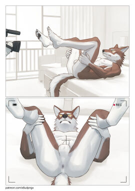 2024 absurd_res anthro anus ass athletic athletic_anthro athletic_male biped brown_body brown_fur canid canine canis claws digital_media_(artwork) duo finger_claws fur hi_res male male_anthro mammal multicolored_body multicolored_fur nude nude_anthro nude_male pngx_(artist) presenting presenting_anus presenting_hindquarters recording two-tone_body two-tone_fur white_body white_fur wolf yellow_eyes