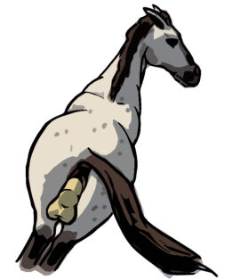 2009 animal_genitalia animal_pussy anus ass balls barely_visible_anus brown_anus brown_body brown_fur brown_legs brown_mane brown_muzzle brown_nose brown_pussy brown_tail digital_drawing_(artwork) digital_media_(artwork) disembodied_penis duo equine_anus equine_genitalia equine_pussy female female_focus female_on_human female_penetrated feral feral_focus feral_penetrated first_person_view full-length_portrait fur genitals grey_body grey_ears grey_fur grey_head human human_on_feral human_penetrating human_penetrating_female human_penetrating_feral human_pov humanoid_genitalia humanoid_penis interspecies looking_at_another looking_at_viewer looking_back looking_back_at_another looking_back_at_partner looking_back_at_viewer male male/female male_on_feral male_penetrating male_penetrating_female male_penetrating_feral male_pov mammal mane penetration penile penile_penetration penis penis_in_pussy portrait presenting presenting_anus presenting_hindquarters presenting_pussy pussy quadruped rage_viper rear_view sex simple_background solo_focus tail tail_aside tan_balls tan_penis vaginal_penetration white_background zoophilia