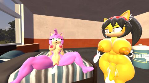 3d 3d_model amy_rose anthro black_hair bodily_fluids bottle container cum cum_inside domestic_cat duo eulipotyphlan felid feline felis female fur genital_fluids green_eyes hair hedgehog herm hi_res honey-da-cat_(artist) honey_the_cat humanoid intersex intersex/female mammal mobian mobian_(species) mobian_cat pink_body pink_fur sega sonic_(series) sonic_the_fighters sonic_the_hedgehog_(series) water_bottle yellow_body yellow_eyes yellow_fur