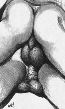 Image: 12783020