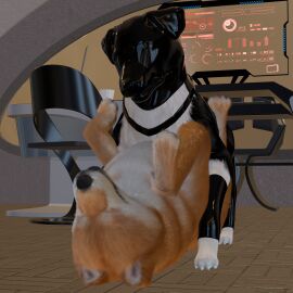 3d_(artwork) angry angry_sex anonyartist3d asphyxiation barkley_(canine_conundrum) black_body black_fur blind border_collie breath canid canine canis closed_eyes clothing collie deaf digital_media_(artwork) disability domestic_dog duo faceless_character faceless_male female feral feral_on_feral feral_penetrated feral_penetrating feral_penetrating_feral floor floppy_ears fluffy footwear fur futuristic_clothing futuristic_setting genitals glistening glistening_latex growling harness herding_dog hi_res knot knotted_penis latex latex_clothing latex_footwear latex_harness latex_hood latex_socks lying lying_on_ground male male/female mammal multicolored_body multicolored_fur on_back on_ground panting pastoral_dog penetration penis pointy_ears questionable_consent realistic_feral science_fiction sensory_deprivation sex sheepdog shiba_inu socks spitz stretched_pussy tile tile_floor tongue tongue_out unable_to_speak unnamed_character vaginal_penetration white_body white_fur yellow_body yellow_fur