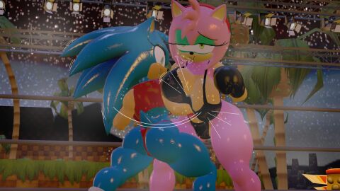 2girls 3d amy_rose anthro ass big_ass big_breasts big_butt big_thighs black_boxing_gloves black_bra black_gloves black_lingerie black_panties boxing boxing_gloves boxing_ring bra breasts bubble_ass bubble_butt catfight curvy duo eyeshadow female female_focus female_only fight fighting fighting_ring furry genderswap genderswap_(mtf) gloves green_eyes green_eyeshadow gut_punch huge_breasts large_breasts lingerie night outdoors panties punch punching punching_stomach red_boxing_gloves red_gloves rngsucks rule_63 ryona sega sonic_(series) sonic_the_hedgehog sonic_the_hedgehog_(series) stomach_punch thick thick_ass thick_butt thick_hips thick_thighs thighs wide_hips