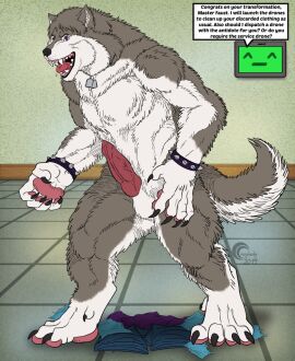 4_toes 5_fingers after_transformation alaskan_malamute animal_genitalia animal_penis anthro artificial_intelligence artist_logo balls big_muscles black_lips black_nose breath canid canine canine_genitalia canine_penis canis cheek_tuft claws clothing crazy-husky destroyed_clothing dewclaw dialogue digitigrade discarded_clothing dog_tags domestic_dog duo english_text erection facial_tuft faust_(crazy-husky) feet finger_claws fingers fluffy fluffy_tail fur genitals grey_body grey_fur head_tuft hi_res inside lips loboleo logo male mammal muscles muscular muscular_anthro muscular_male nordic_sled_dog nude open_mouth panting pawpads paws penis pink_pawpads pink_penis post-transformation purple_eyes sheath smile solo_focus speech_bubble spitz standing tail teeth text toes tongue topwear transformation tuft vein veiny_penis vest were werecanid werecanine weredog white_body white_fur