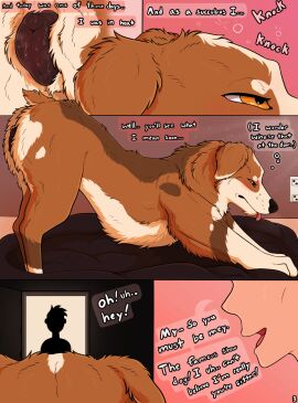 ambiguous_gender animal_genitalia animal_pussy ass ass_up australian_shepherd blush bodily_fluids canid canine canine_genitalia canine_pussy canis close-up comic demon dialogue dog_bed domestic_dog door doorway female feral genital_fluids genitals herding_dog hi_res human in_heat inside mammal mey_(parooty) parooty pastoral_dog pet_bed pink_background pussy sheepdog side_view simple_background smile speech_bubble stretching succubus thought_bubble waking_up