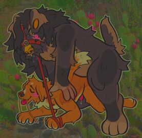 anal anal_sex anthro big_penis brown_fur canid canine canis couple domestic_dog duo facial_piercing furry furry_only gay huge_penis knot knotting leash male male/male male_only muzzled orange_fur penis piercings sex size_difference werewulfbeef x-ray x-ray_view