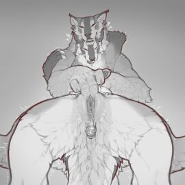 anthro bodily_fluids buttplug duo ejaculation endless_orgasm excessive_vaginal_fluids felid female female/female female_orgasm fingering fluffy fluffy_butt fluffy_thighs genital_fluids genitals hi_res labia looking_pleasured mammal nonstop_nut_november orgasm plug_(sex_toy) plump_labia sex sex_toy snowskau tetton vaginal_fluids vulva