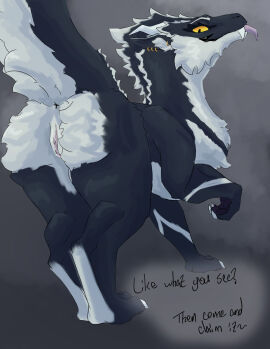 absurd_res amber_(wyrmiestwyrm) amber_eyes ass claws dragon ear_piercing female feral feral_dragon fur furred_dragon furred_scalie genitals hi_res inner_ear_fluff looking_at_viewer looking_back mythological_creature mythological_scalie mythology nude piercing pussy scalie solo tail text tongue tongue_out tuft white_body white_fur wyrmiestwyrm