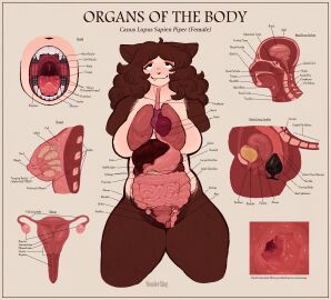 2d anal anal_plug anal_sex anatomically_correct anatomy anatomy_chart anthro bladder breasts brown_hair buttplug canid canine cervix colonoscopy educational endometrium esophagus fallopian_tubes female fimbria guts hi_res intestines liver lung mammal model_sheet mouth_shot mucho_texto myometrium mythological_canine mythological_creature mythology nipples open_mouth organs ovaries pepper_(wonderslug) perimetrium plug_(sex_toy) plump reproductive_anatomy sex_toy smile solo stomach teeth throat tongue uterus uvula were werecanid werecanine werewolf wonderslug_(artist) x-ray_view