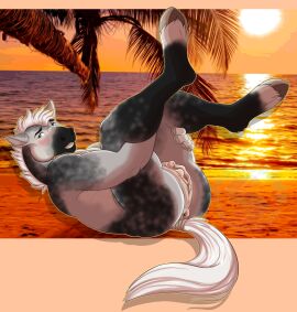 anthro anus ass beach blush cuntboy equid equine fur genitals grey_body grey_fur hair hi_res hooves horse intersex legs_up long_labia lying mammal mottled mottled_body mottled_fur nude on_back presenting presenting_hindquarters pussy sea slushee. solo sunset water white_hair