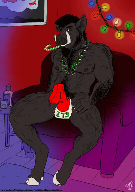 1boy 2023 abs alcohol anthro arm_hair artist_initials artist_name bara beard_stubble beverage biceps bisexual_lighting black_hair body_hair brown_eyes candy candy_cane candy_cane_in_mouth chest_hair christmas christmas_lights christmas_stocking clothed clothing dessert erection erection_under_clothing facial_hair food forearm_hair forearms furaffinity_username furniture glass goatee hairy hairy_male happy_trail hi_res holidays hooves inside jewelry leg_hair looking_at_viewer male male_nipples male_only male_pubic_hair mammal masculine mature_male mistletoe mistletoe_above_penis mohawk_(hairstyle) muscles muscular muscular_male necklace nipples no_visible_genitalia pecs penis pubes pubic_hair rounded_leaves shoulder_hair sitting smile solo suid suina sus_(pig) table tusks white_berries whitecolt_productions wild_boar yaoi