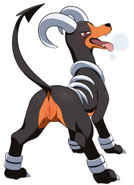 furry houndoom nintendo pokemon pokemon_(species) yttriumi2f
