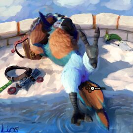 1:1 animal_genitalia anthro avian bandoneon bathing bird breath_of_the_wild cloaca clothing discarded_clothing feet genitals hi_res kass_(tloz) kass_(zelda) liosoun lounging male musical_instrument nintendo nude partially_submerged raised_leg rito sky solo spread_legs spreading talons teasing the_legend_of_zelda toes water wet
