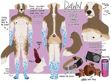 2024 absurd_res animal_genitalia animal_penis anthro armpit_hair ass balls balls_tuft blue_eyes body_hair camera canid canine canine_genitalia canine_penis cheek_tuft chest_tuft cocoach3rry collar dawn_(cocoach3rry) dewclaw digital_media_(artwork) dog_toy dorsal_fluff english_text facial_tuft fluffy fur genitals hi_res knot love_handles male mammal model_sheet monster_energy neck_tuft nipples nude pecs penis sheath simple_background smile solo spots standing tail text tuft
