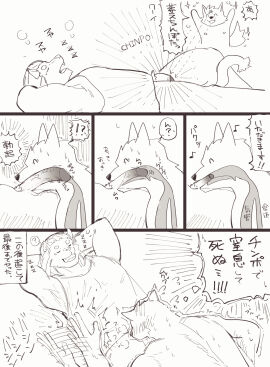 2021 7575el anthro bottomless canid canine canis closed_eyes clothed clothing comic duo erection eyebrows fangs felid fellatio flaccid foreskin genitals hair hands_behind_head happy hi_res humanoid_genitalia humanoid_penis internal internal_oral japanese_description japanese_text lion lying male male/male mammal on_back one_page_comic open_mouth oral pantherine penile penis sex shaking shirt shirt_only silly sleeping tail tank_top tank_top_only teeth text topless topless_male topwear topwear_only translation_request trembling uncircumcised vein veiny_penis wolf