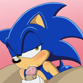 blowjob blue_body fellatio furry gay green_eyes hedgehog human male saliva smaller_male sonic_(series) sonic_the_hedgehog sonic_the_hedgehog_(series) sonic_x spanky15