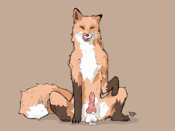 2025 absurd_res animal_genitalia animal_penis balls balls_on_ground bodily_fluids brown_paws canid canine canine_genitalia canine_penis chest_tuft cum cum_drip cum_on_balls cum_on_ground digital_media_(artwork) dominant dominant_feral dripping erection fangs feral fluffy fluffy_tail fox front_view genital_fluids genitals hi_res hotdogmeat huge_filesize knot leaking_cum licking licking_lips looking_at_viewer male mammal naughty_face one_ear_up open_mouth orange_body paws penis presenting presenting_penis raised_paw red_fox simple_background sitting smile smirk solo spread_legs spreading sullivan_(hotdogmeat) tail teeth tongue tongue_out toony true_fox tuft whiskers