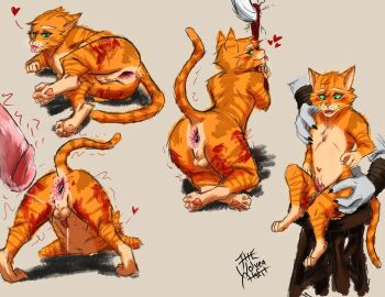 ass death_(puss_in_boots) domestic_cat fur gay male penis puss puss_in_boots_(dreamworks) puss_in_boots_the_last_wish tail thewolvenmisfit