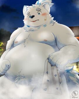 5groo5 anthro balls belly blush canid canine canis domestic_dog flaccid fupa fur genitals hi_res hot_spring lifewonders live_a_hero male mammal nordic_sled_dog overweight penis samoyed solo spitz steam water white_body white_fur yohack