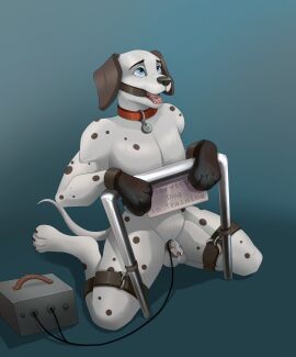 4_toes anthro balls begging begging_pose black_ears black_nose black_spots blue_eyes bodily_fluids bondage bondage_gear bondage_gloves bound canid canine canis chastity_cage chastity_device claws clothing collar collar_tag crazydonkey dalmatian digital_media_(artwork) digitigrade domestic_dog dripping electrostimulation electrostimulation_chastity_cage english_text feet floppy_ears front_view gag gagged genital_fluids genitals gradient_background handwear hi_res kneeling male male_focus male_only mammal markings metal_chastity_cage nude open_mouth peter_(kodihusky) petplay pole pose precum precum_drip questionable_consent red_collar restrained_legs ring_gag roleplay service_slave sign simple_background solo solo_male spots spotted_body spread_legs spreading straps submissive submissive_male tapering_tail tears teasing teeth text tied_to_pole toe_claws toes tongue training white_body wire