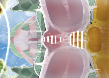 1boy 1girls anthro anthro_only anus ass ass_focus blush blushing censor_bar censored dagasi female female_focus furry furry_only gardevoir hi_res highres hypno ineffective_censorship male penis pokemon pokemon_(species) pokémon_(species) pussy straight