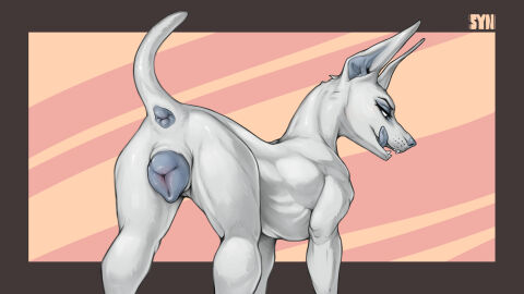 16:9 absurd_res animal_genitalia animal_pussy anus ass blue_nose blue_pussy blue_tongue canid canine canine_genitalia canine_pussy canis dobermann domestic_dog female feral fur genitals hi_res jessica_(syn-6) mammal pinscher presenting presenting_hindquarters presenting_pussy pussy simple_background solo syn-6 tongue wallpaper white_body white_fur widescreen