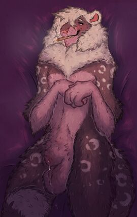 4_fingers animal_genitalia anthro balls blue_body blue_fur bodily_fluids digital_media_(artwork) dripping drug_usage felid feline fingers fluffy fur genital_fluids genitals grey_body grey_fur hair hair_over_eye hi_res hybrid joint lying male mammal nude nude_anthro on_back precum precum_drip purple_body purple_fur sheath slim smile solo substance_intoxication tailtufts whiskers