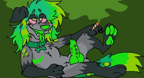 anthro canid canine canis collar dalmatian digital_media_(artwork) domestic_dog drugs genital_piercing genitals knot male mammal marijuana microsoft_paint_(artwork) open_mouth penis penis_piercing piercing raised_leg sativa_(wickedwhiskerz) smoking solo trans_man transmasc wickedwhiskerz