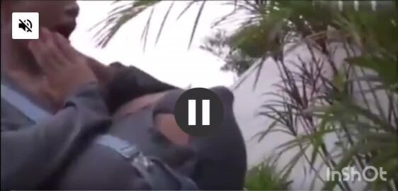 big breasts tagme video