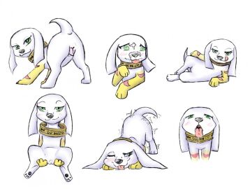 1animal 4:3 ahe_gao animal_genitalia anus bandai_namco blush bodily_fluids canid canine canis closed_eyes clothing collar cum digimon digimon_(species) domestic_dog female feral fur genital_fluids genitals gloves green_eyes half-closed_eyes handwear leaning leaning_forward looking_at_viewer looking_back looking_pleasured lying mammal narrowed_eyes on_back on_side open_mouth p.v.su pawpads plotmon plotmon_x pussy raised_tail rear_view salamon salamon_x saliva simple_background sitting solo spread_legs spreading tail tailwag tongue tongue_out white_background white_body white_fur x-digimon