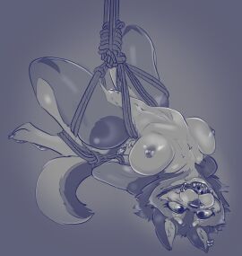 absurd_res anthro ball_gag bondage bound breasts canid canine canis cassarts domestic_dog female gag gagged hanging_breasts helpless hi_res legs_tied mammal nipples nude nude_female pussy rope solo uncensored wolf