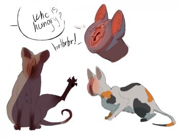 calico_pattern domestic_cat english_text errokioslem felid feline felis female feral full-length_portrait genitals group humanoid_genitalia humanoid_pussy humanoid_vulva hybrid looking_at_viewer mammal nipples open_species portrait pussy pussy_creature siamese side_view simple_background spread_pussy spread_vulva text three-quarter_portrait three-quarter_view trio_focus what white_background