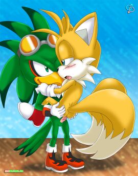 anthro fur furry furry_tail highres jet_the_hawk male male_only multi_tail multiple_males palcomix rear_deliveries sonic_(series) tagme tail tails tails_the_fox yaoi