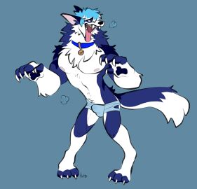 3_toes 4_fingers absurd_res anthro balls balls_outline blue_background blue_body blue_collar blue_eyes blue_fur bottomwear bulge canid canine claws clothed clothing cloud_emanata collar detailed_bulge emanata fangs feet finger_claws fingerpads fingers fur genital_outline hi_res hindpaw kotacat4 male mammal multicolored_body multicolored_fur mythological_canine mythological_creature mythology nipples open_mouth pawpads paws penis penis_outline pink_tongue shorts signature simple_background solo standing tail teeth toe_claws toes tongue tongue_out topless topless_anthro topless_male torn_bottomwear torn_clothing torn_shorts were werecanid werecanine werewolf white_body white_fur