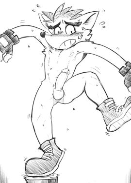 1boy 2d anthro anthro_only ass ass_visible_through_thighs balls bandicoot blush_lines crash_(series) crash_bandicoot embarrassed erect_penis fingerless_gloves furry furry_male furry_only male male_focus male_only marsupial monochrome naked naughty_black_bunny nude penis simple_background solo solo_male tagme