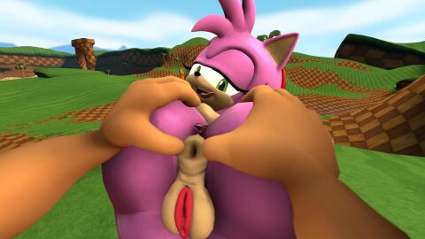 1boy 1girls 3d 3d_(animation) amy_rose anthro anthro_on_anthro ass ass_focus ass_up drooling eyes_half_closed eyes_half_open green_hill_zone heart_symbol hedgehog hedgehog_boy hedgehog_ears hedgehog_girl hedgehog_humanoid pink_fur potatermino_(artist) sonic_(series) sonic_the_hedgehog sonic_the_hedgehog_(series) tagme throbbing_anus tongue tongue_out video