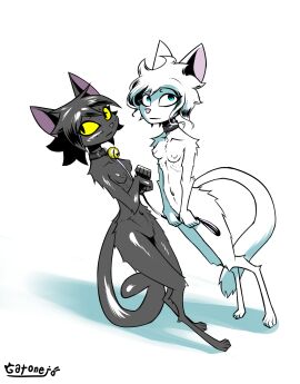 2024 absurd_res anthro bell bell_collar black_body black_fur black_hair blue_pupils bondage breasts collar collar_only collarbone digitigrade domestic_cat duo eyeliner felid feline felis female female/female female_anthro femdom femsub fur gatonejo hair hi_res holding_leash holding_object leash lezdom looking_at_viewer makeup mammal mono_(gatonejo) multiple_females multiple_girls naturally_censored nipple_tuft nude nude_anthro nude_female pink_nose pupils ribs short_hair simple_background slim small_breasts teresa_desalvo_(gatonejo) tuft white_background white_body white_fur white_hair white_sclera yellow_eyes yellow_sclera yuri
