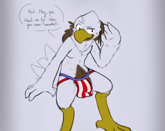 accipitrid accipitriform american_flag avian beak big_bulge bird brown_body brown_feathers bulge clothed clothing eagle feathers feet ferrissimulator flag furry haywood hi_res jockstrap male partially_clothed solo tagme talons toes underwear united_states_of_america white_body white_feathers