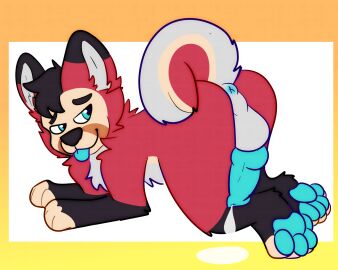 2021 4_toes all_fours animal_genitalia animal_penis anthro anus ass auto_penis_lick balls balls_tuft bent_over blue_anus blue_eyes blue_pawpads blue_penis blue_tongue bodily_fluids canid canine canine_genitalia canine_penis canis closed_eyes cum cumshot digital_drawing_(artwork) digital_media_(artwork) domestic_dog ejaculation erection feet fox foxboy128 fur genital_fluids genital_piercing genitals hi_res husky hybrid knot leaking leaking_cum licking looking_at_genitalia looking_down male mammal masturbation nordic_sled_dog nude oral oral_masturbation pawpads paws penile penile_masturbation penis piercing self_lick simple_background solo spicy_weasel spitz toes tongue tongue_out tuft weaseldumb