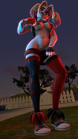 3d batman_(series) dc dc_comics female harley_quinn harley_quinn_(multiversus) multiversus sfm solo source_filmmaker