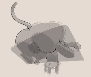 absurd_res alien anthro ass backsack balls ballsack betelgeusian big_ass big_butt clothed clothing dildo dildo_insertion feet felid feline footwear fur genitals hi_res hood huge_ass huge_butt kyomiqc looking_at_viewer looking_back male mammal meow_(space_dandy) partially_clothed paws presenting presenting_hindquarters raised_tail sex_toy sex_toy_insertion shoes soles solo space_dandy tail text thick_thighs unsavoryimpcat wide_hips