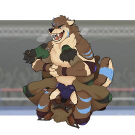 2022 anthro beard bodily_fluids breath brisky_(briskycoyote) bulge bulge_in_face canid canine canis coyote domestic_dog duo ear_piercing facial_hair fangs gauged_ear hi_res holding_both_legs leonberger lying male male/male mammal molosser mountain_dog on_back piercing ramaelligre signature stripes submission_hold sweat teeth tremor_(clawstar_wrestling) wrestling wrestling_briefs