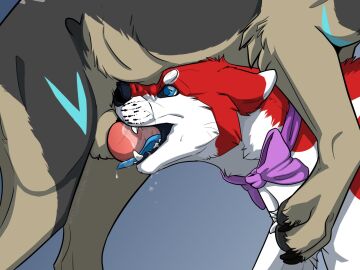 4:3 ambiguous_gender ambiguous_penetrated animal_genitalia blowjob blue_background blue_eyes blue_tongue bow_tie canid cheek_tuft duo ears_back faceless_character faceless_male facial_tuft fangs fellatio feral feral_on_feral feral_penetrated feral_penetrating feral_penetrating_feral foreskin fur genitals grey_body grey_fur leg_tuft male male/ambiguous male_penetrating male_penetrating_ambiguous mammal open_mouth oral oral_penetration penetration penis penis_in_mouth pivoted_ears red_body red_fur retracted_foreskin sex sheath side_view simple_background tan_body tan_fur tan_sheath teeth tongue tongue_out tongue_out_blowjob tuft unbreakable-warrior uncircumcised white_body white_fur
