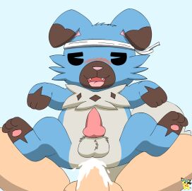 accessory anal anal_sex animal_genitalia animal_penis ass balls blue_body blue_fur blush bodily_fluids canine_genitalia canine_penis cum cum_in_ass cum_inside feral feral_penetrated first_person_view fur generation_7_pokemon genital_fluids genitals headband hi_res human human_on_feral human_penetrating human_penetrating_feral human_pov humanoid_genitalia humanoid_penis interspecies knot larger_human male male/male male_penetrated male_penetrating male_penetrating_male male_pov mammal nintendo penetrating_pov penetration penile penile_penetration penis penis_in_ass pichu90 pie_cut_eyes pokemon pokemon_(species) pokephilia rockruff sex shiny_pokemon size_difference smaller_feral smaller_penetrated white_headband zoophilia