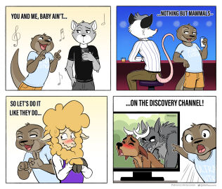 al_(nik159) alpaca american_opossum anthro antlers beverage bite bloodhound_gang blush camelid canid canine canis closed_eyes clothed clothing deer digital_media_(artwork) discovery_channel doggy_style domestic_cat electronics english_text felid feline felis felix_(nik159) fingers from_behind_position fur gay gay_male gesture group hi_res holding_beverage holding_object holding_phone hooved_fingers hooves horn looking_at_another looking_at_viewer lyrics male male/male mammal marsupial meme musical_note musical_symbol mustelid neck_bite nikraccoom open_mouth otter patreon_username phone predator/prey quiff_(nik159) sequence sex sex_gesture shirt simple_background singing sitting suggestive suggestive_gesture symbol t-shirt tail television text text_on_clothing text_on_shirt text_on_topwear topwear twitter_handle two_soyjaks_pointing virginia_opossum wolf yaoi