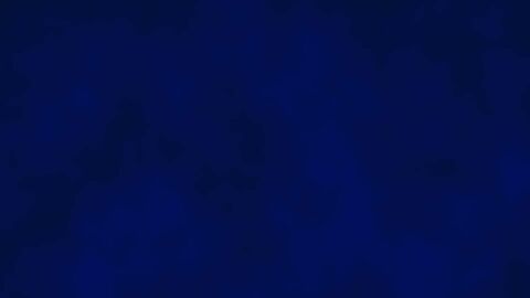 Image: 8565553