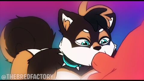 2025 2boys 2d 2d_animation 2males animated anthro anthro_on_anthro ass audible_ejaculation black_fur blowjob blue_collar blue_eyes brown_fur canid canine canis collar cum_in_mouth curled_tail dialogue domestic_dog duo erect_penis fangs furry furry_male furry_only gay gay_sex male/male moan moaning mohawk muscular muscular_anthro muscular_male nutter_(shibashibs) offscreen_character offscreen_male orgasm raised_ass sex shiba_inu shibashibs short_playtime sound spiked_collar spitz tagme thebredfactory_(va) video voice_acted