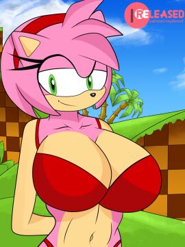 amy_rose anthro big_breasts bikini bra_only breasts cleavage female female_only furry_female green_eyes hedgehog_girl mobian mobian_(species) pink_fur pink_hair raydonxd red_bra sega sonic_(series) sonic_the_hedgehog_(series)